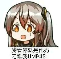 我看你就是TM刁难我UMP45